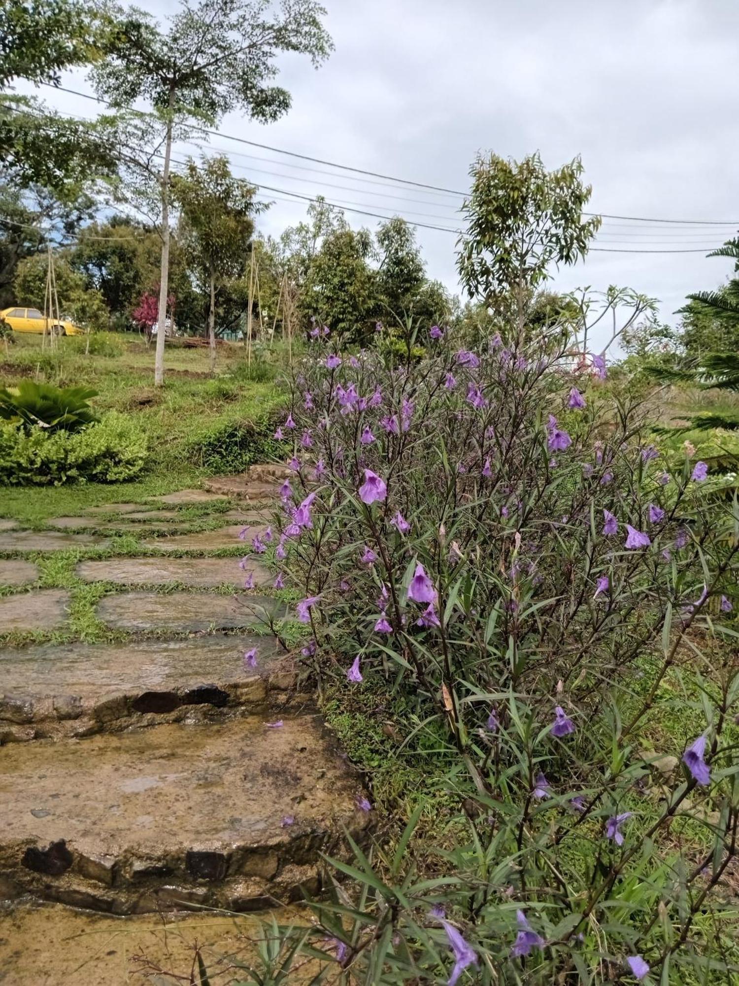 Country Lodge At Eco Valley Retreat Tawau Luaran gambar