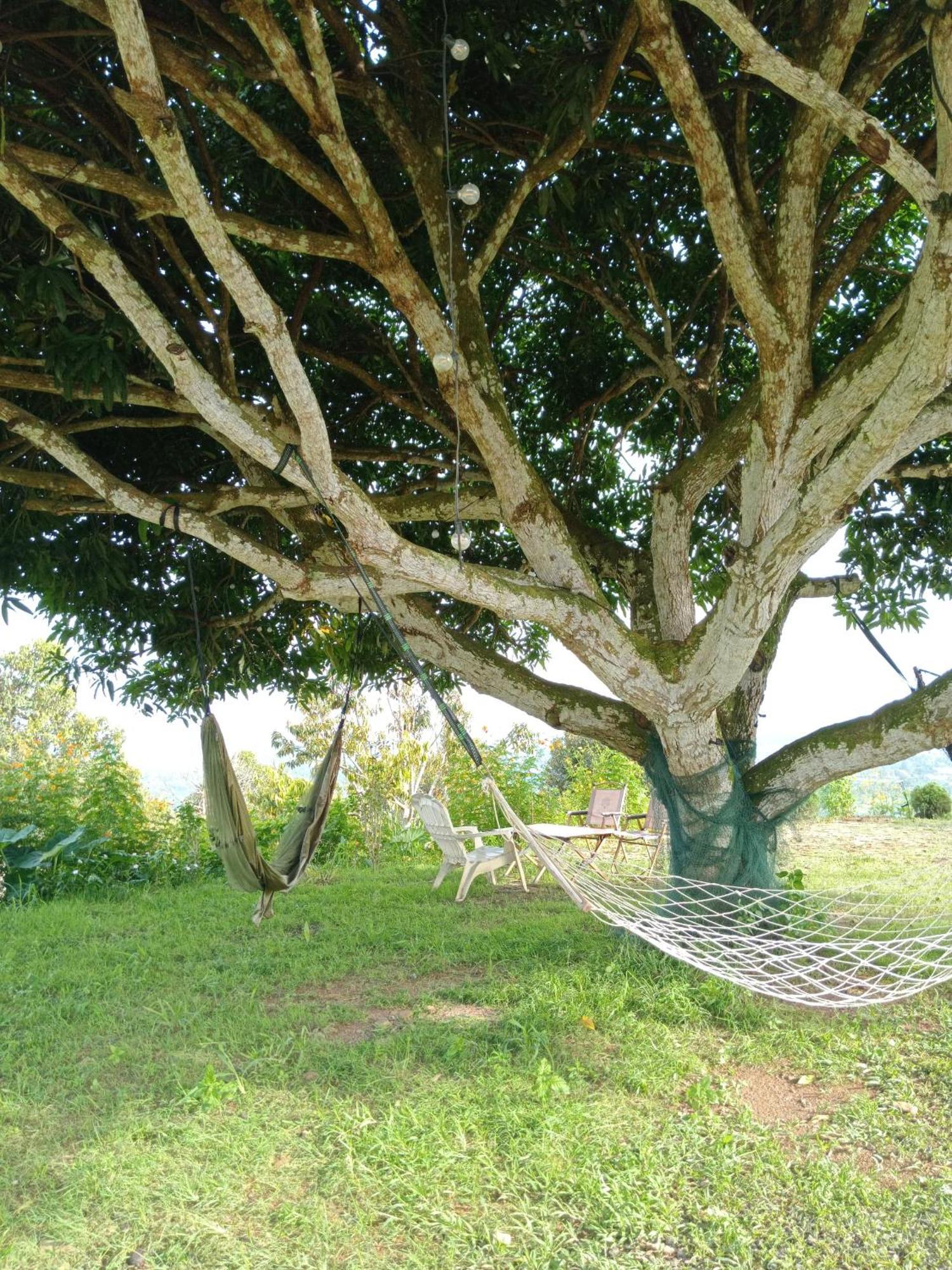 Country Lodge At Eco Valley Retreat Tawau Luaran gambar